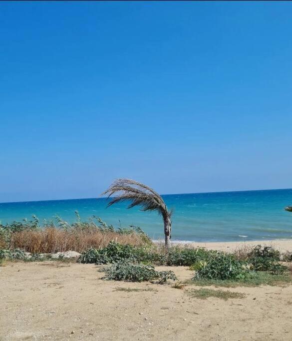 شقة Ca' Sole بوتيرا المظهر الخارجي الصورة